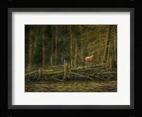 First Light Fine Art Print