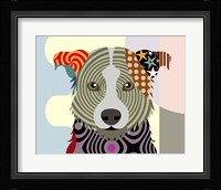 Border Collie Fine Art Print