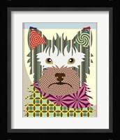 Australian Terrier Fine Art Print