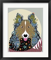 Rough Collie Framed Print