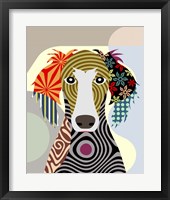 Saluki Fine Art Print