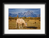 Breakfast in the Tetons Fine Art Print
