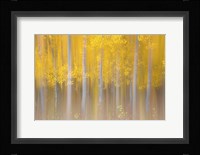 Changing Seasons Fine Art Print
