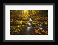 Golden Creek Cascade Fine Art Print