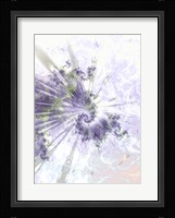 Alpha Fine Art Print