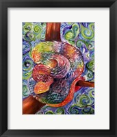 Rainbow Snake Framed Print