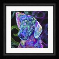 Puppy12 Fine Art Print