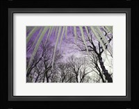 Iceicles Fine Art Print