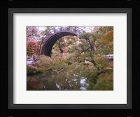 Nature Park Fine Art Print