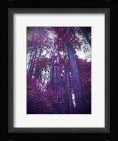 Purple Tree Fine Art Print