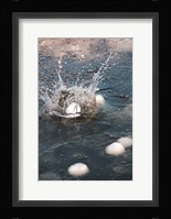 Snowball Fine Art Print