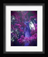 Tree 2 Fine Art Print