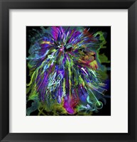 Lion 44 Fine Art Print