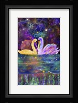 Swan111 Framed Print