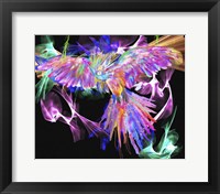 Parrot Black Framed Print