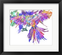 Parrot Fine Art Print