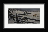 Split Rail And Fox Fine Art Print