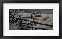 Split Rail And Fox Fine Art Print