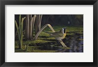 Yellow-Throat Fine Art Print