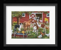 Welcoming The New Pony Fine Art Print
