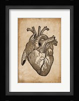 Anatomy 8 Fine Art Print