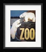 Zoo Fine Art Print