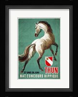 Nat. Concours Hippique Fine Art Print
