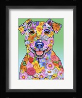 Flowers Jack Russell Framed Print