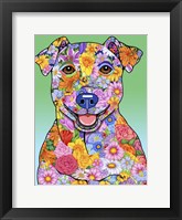 Flowers Jack Russell Framed Print