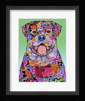 Flowers Rottweiler Framed Print