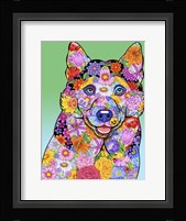 Flowers Siberian Husky Framed Print