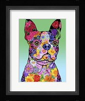 Flowers Boston Terrier Framed Print