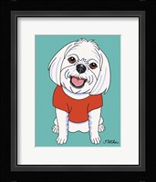 Maltese Fine Art Print