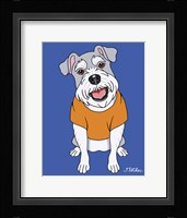 Schnauzer Framed Print