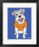 Schnauzer Framed Print