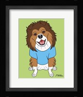 Shetland Sheepdog Framed Print