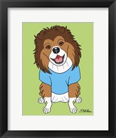 Shetland Sheepdog Framed Print