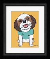 Shih Tzu Brown Fine Art Print