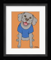 Weimaraner Framed Print