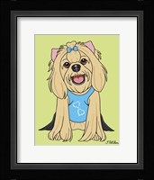 Yorkshire Terrier Showcut Framed Print