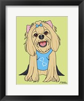 Yorkshire Terrier Showcut Framed Print