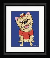 Yorkshire Terrier Framed Print