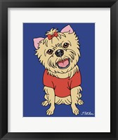 Yorkshire Terrier Framed Print