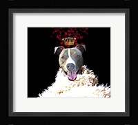 Royal Love Pup - Pit Bull Terrier Framed Print