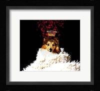 Royal Love Pup - Sheltie Framed Print