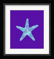 Sponge Sea Star Aqua Framed Print