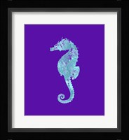 Sponge Seahorse Aqua Fine Art Print
