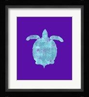 Sponge Turtle Aqua Framed Print