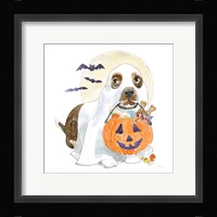 Halloween Pets III Framed Print