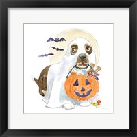 Halloween Pets III Framed Print